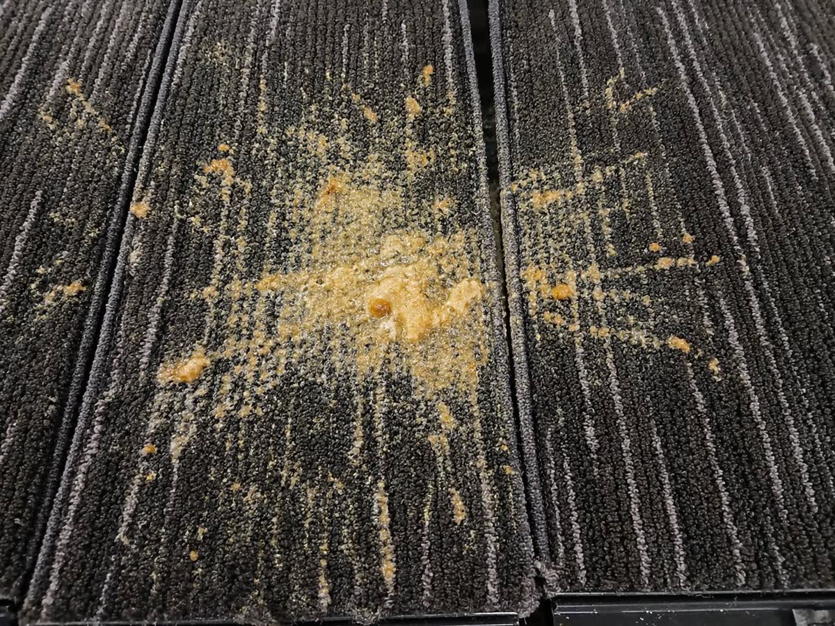 繊維の奥まで染み込んだ嘔吐物