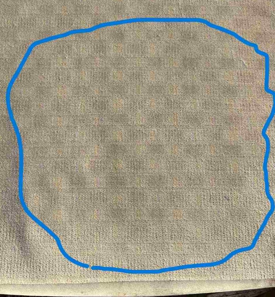 洗浄後 しばらく経過