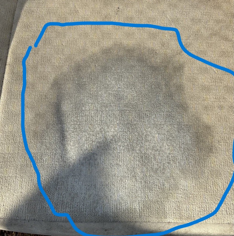 こぼした すぐ の画像